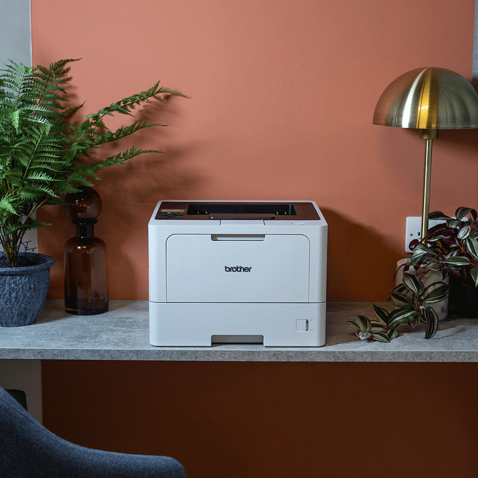 Brother HL-L5210DW - Overzicht