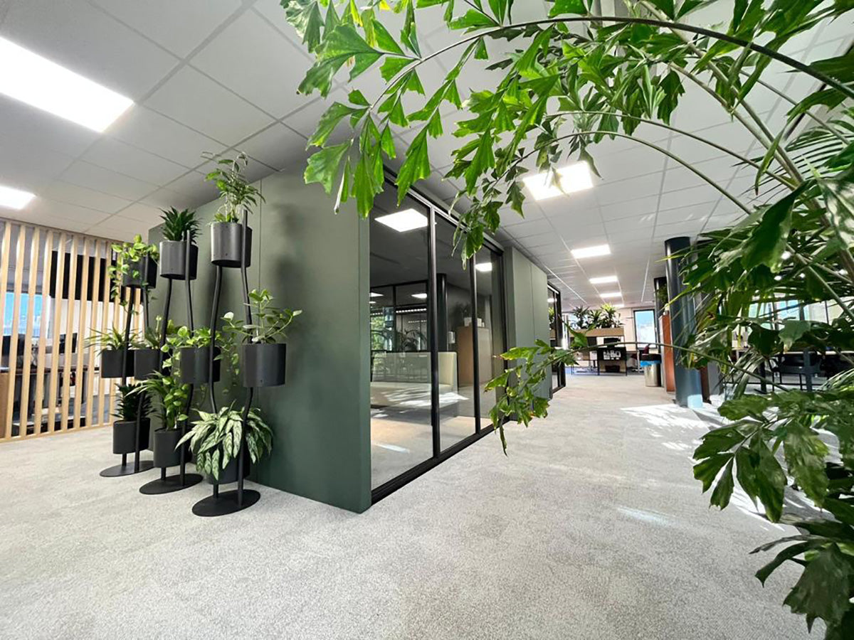 M+ Room overgroeid met planten in een kantoortuin