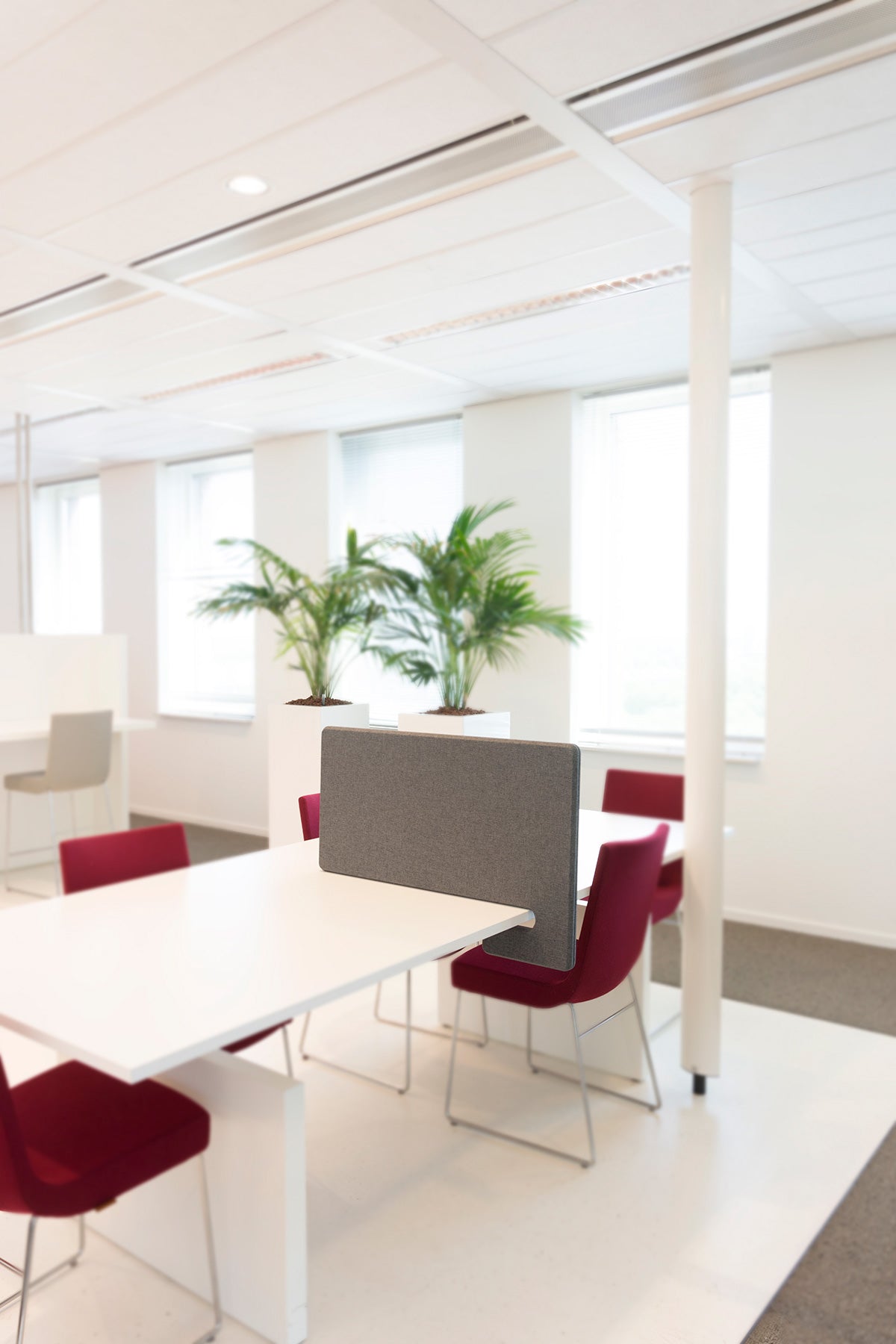 Grijze ROFA Packman bureauscheidingswand geklemd op een witte werktafel met rode stoelen