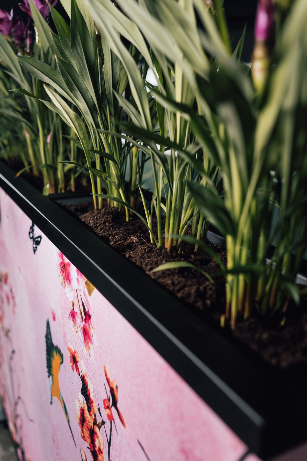SENA plantenbak met roze bedrukte stof met bloemen, van dichtbij