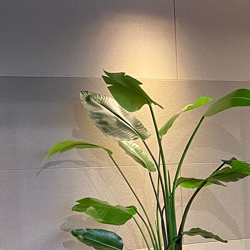 Akoestisch wandpaneel in grijs achter een plant