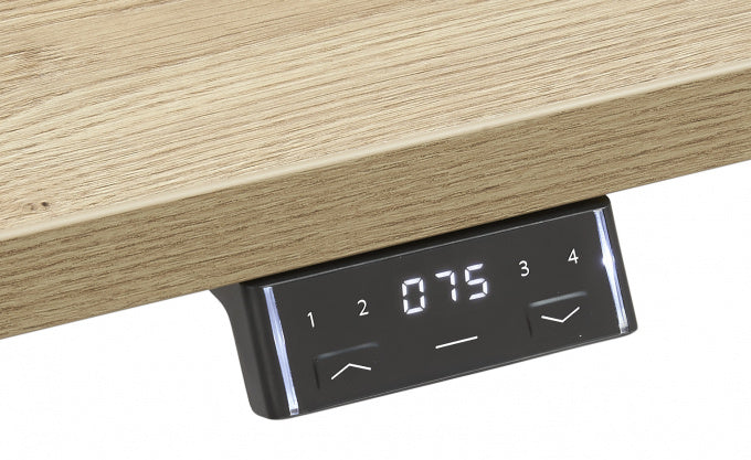 Memory-unit met hoogteaanduiding van de Flex 3+ meeting