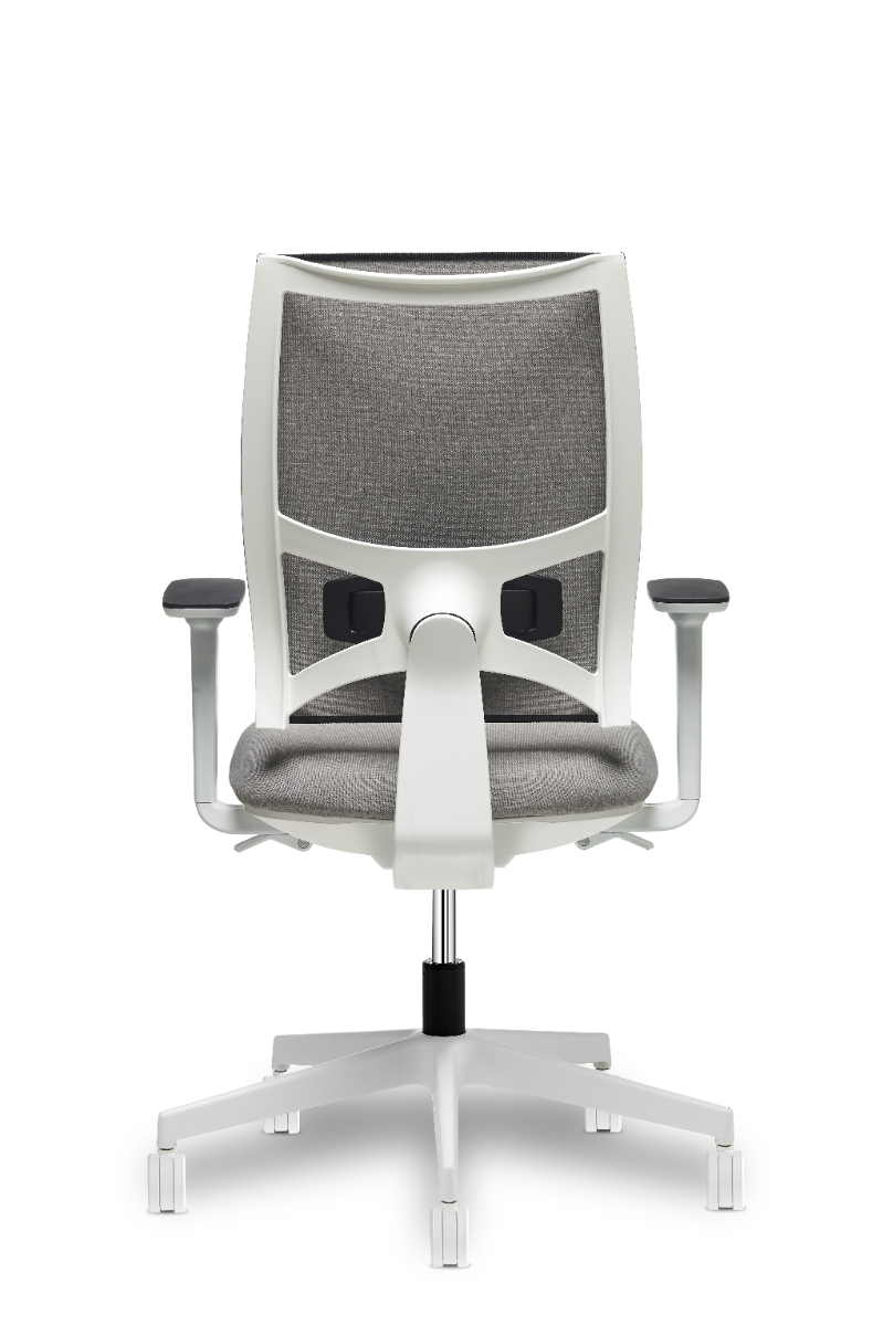 Achteraanzicht van de witte Team Strike Evo, met het rugframe en de lendensteun in beeld