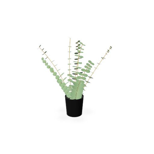 Kunstplant Eucalyptus 500 mm inclusief pot - Götessons