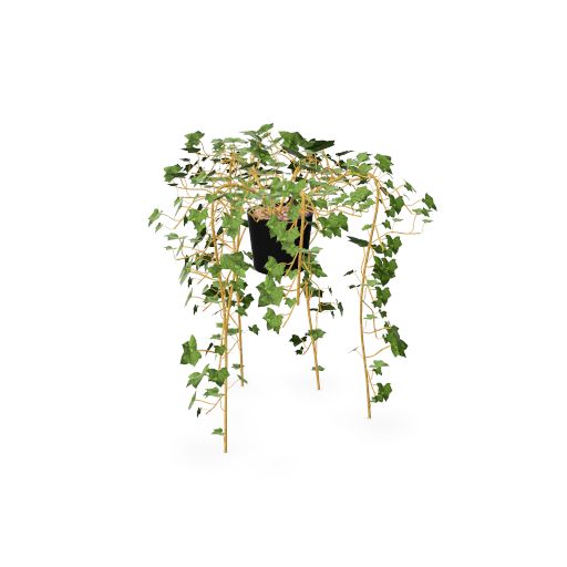 Kunstplant Hedera 450 mm inclusief pot - Götessons