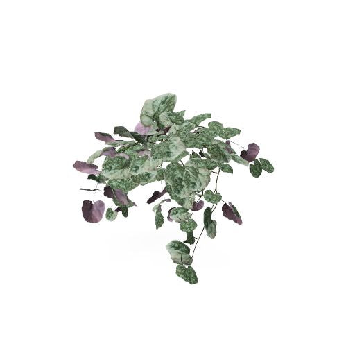 Kunstplant Senecio zonder pot - Götessons