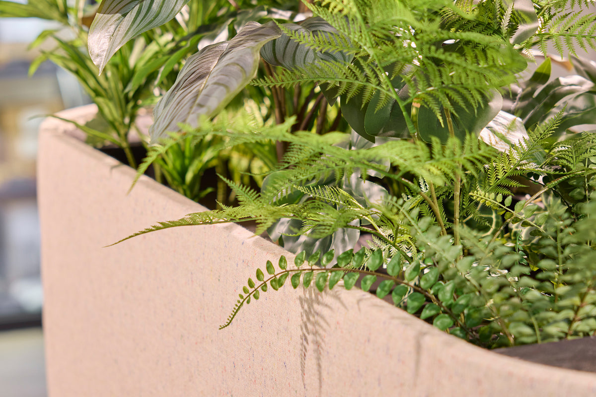 Planten in de M+ Planter van dichtbij