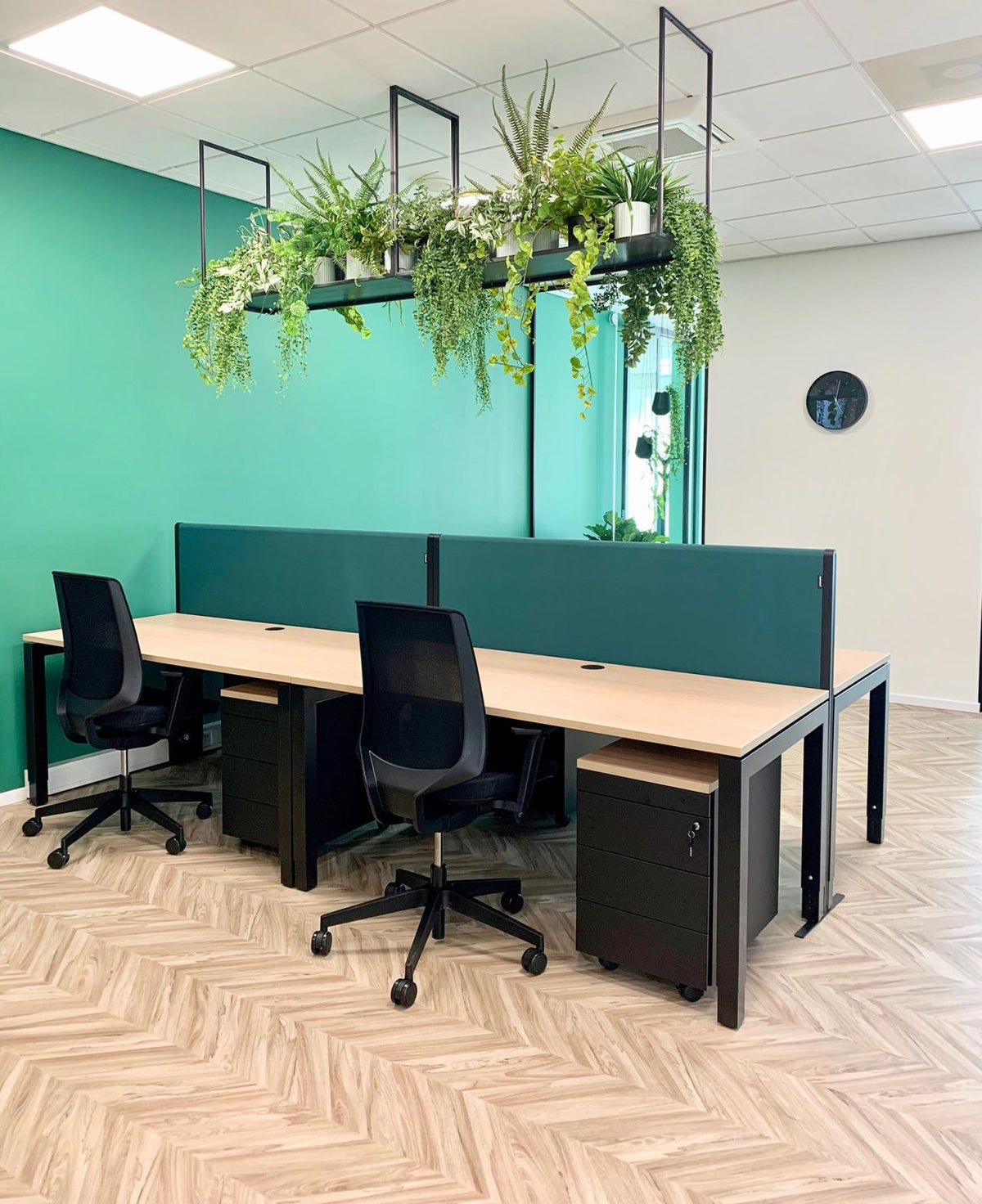 NOVU bench wand in donkergroen over de volle lengte van een benchopstelling met houten bladen