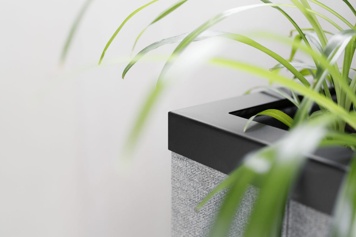 Close-up van een donkere akoestische plantenbak met groene beplanting