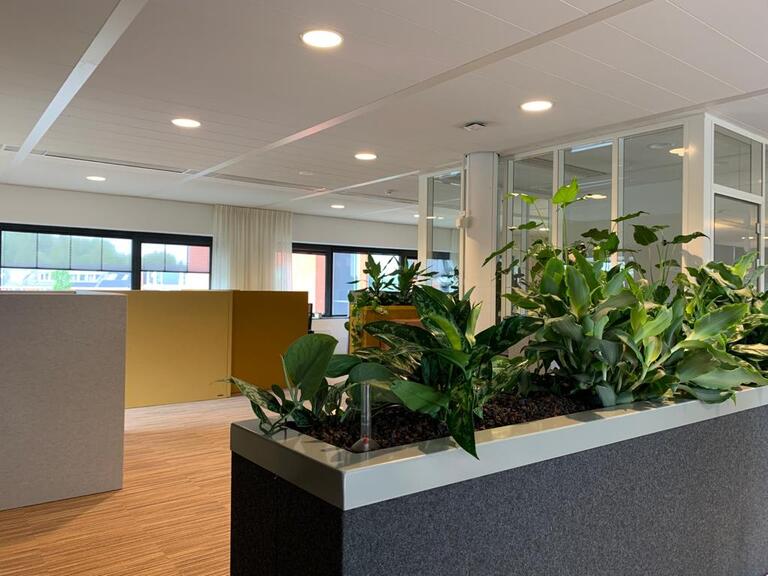 SENA akoestische plantenbakken als ruimteverdeler in een kantoortuin
